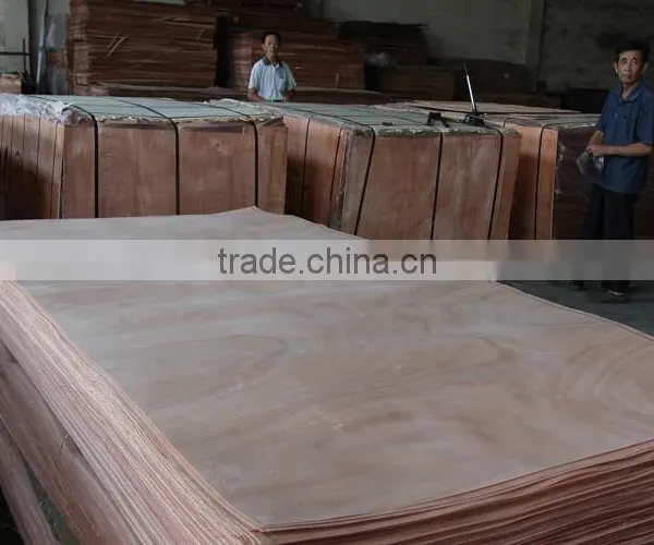 Wood Veneer Door Skin
