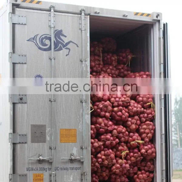 70mm Size Red Onion in 5kg Mesh Bag photo-4