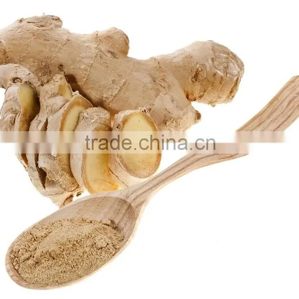 High Quality Ginger Extracg Powder Low Price Ginger Powder (water Soluble) photo-4