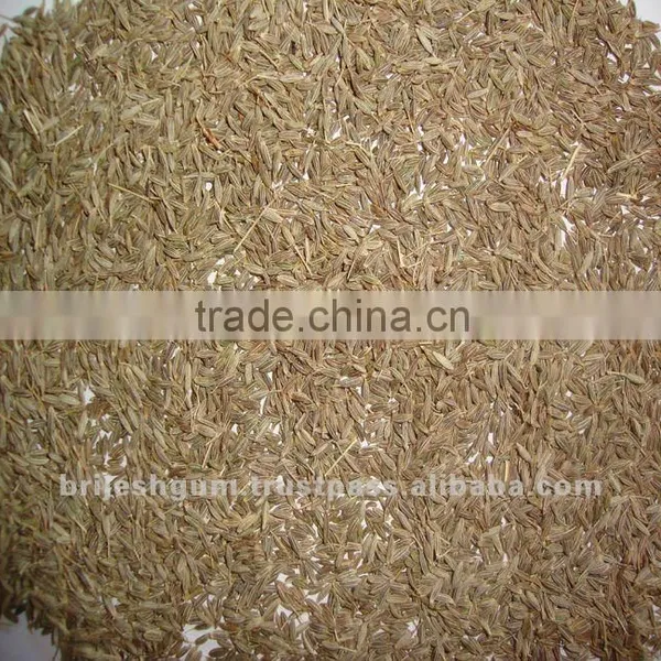 Cumin Seed Singapore Quality New Crop 2016 photo-3
