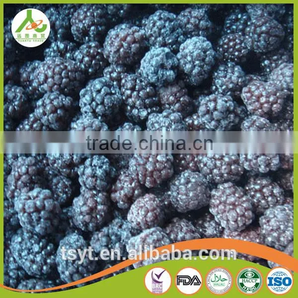 Asian Frozen Vegetables and Fruits Iqf Frozen Blackberry photo-2
