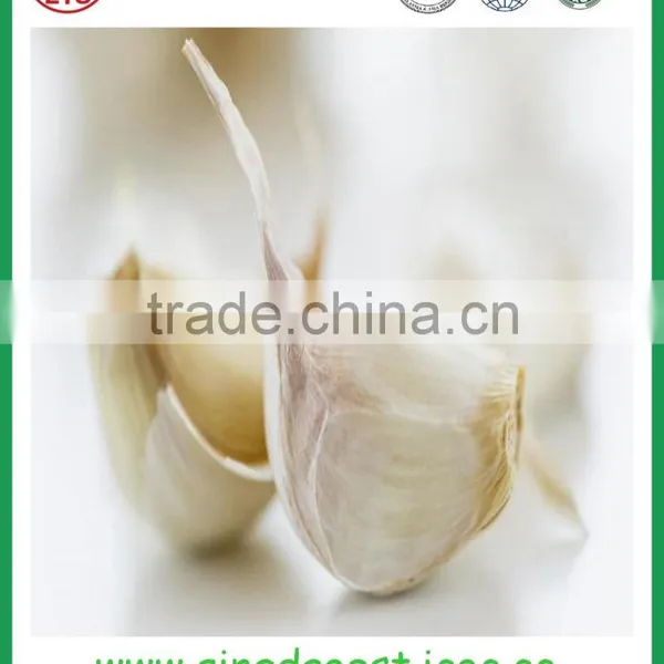 Chinese Jinxiang Grade A Fresh Normal White Garlic on Sale photo-6
