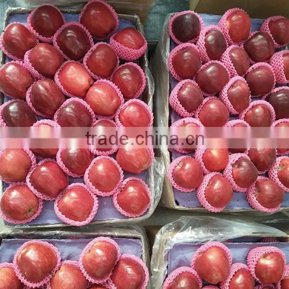 Chinese Fresh Apple Fresh Apple Fruit for Sale photo-2