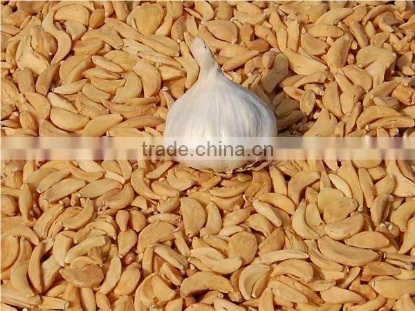 Garlic Cloves/Dehydrated Garlic Cloves