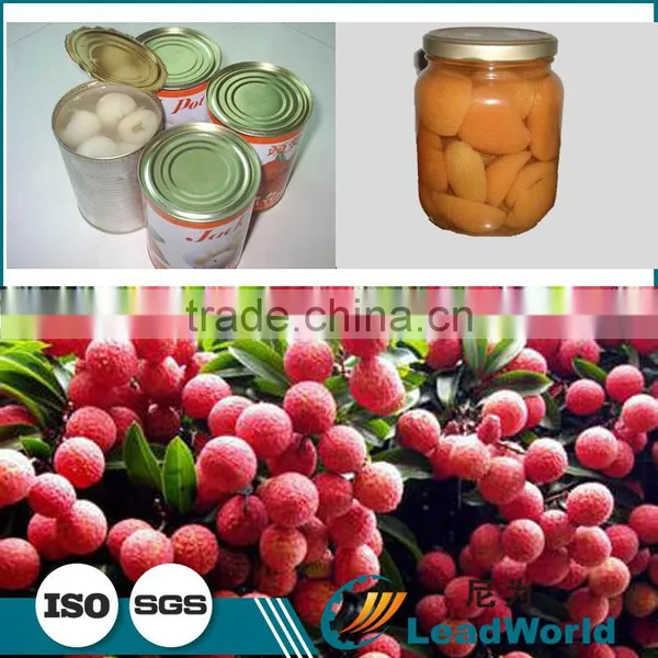 Best Price Automatic Canned Litchi Palletizer photo-2