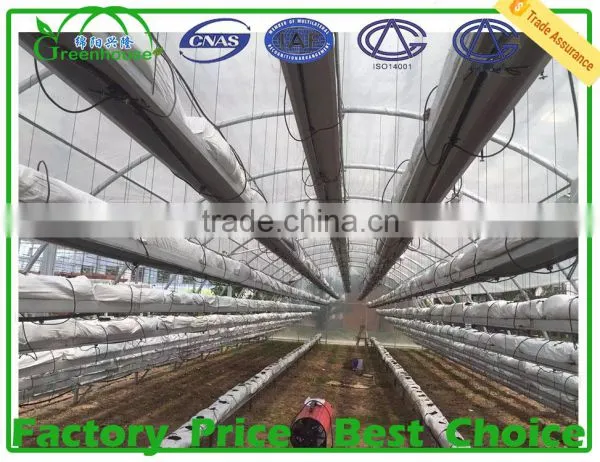 China Supplier Galvanized Round Steel Pipe For Greenhouse Frame photo-5