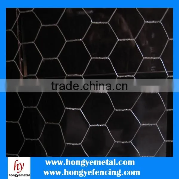 ISO High Quality PVC Coated Hot Dipped Galvanized Hexagonal Wire Mesh 10mm photo-2