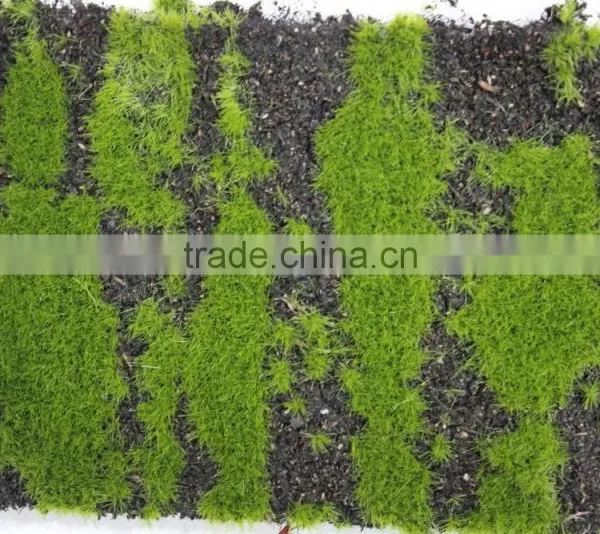 Artificial Moss Grass Wall for Decoration Real Artificial Moss Mat photo-5