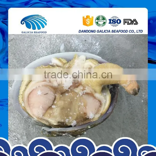 Frozen Huge Clam Wild Caught photo-3