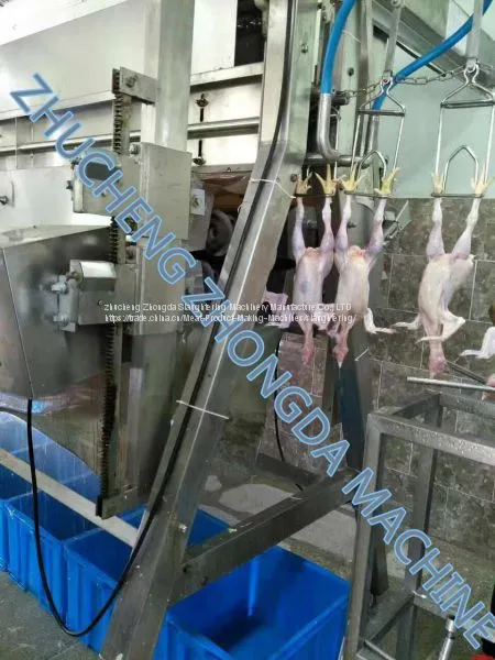 Линия машин для убойства птицы - проект в ОАЭ photo-4