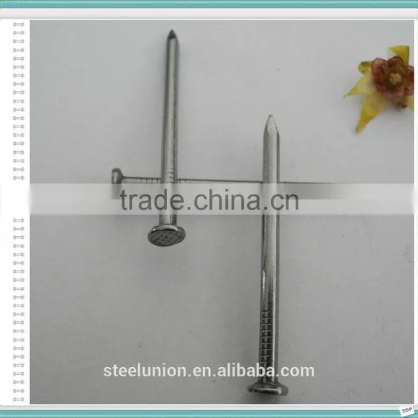 Factory Common Wire Nail/Common Nail for Construction/Common Nail photo-2