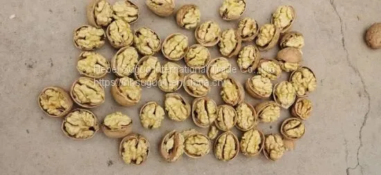 Walnut Inshell photo-4