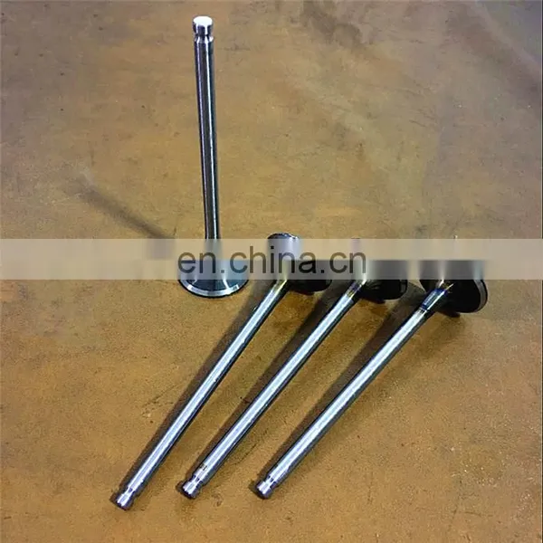 for Nissan Motor Sr18 Sr20 Sr16 Navara Patrol Supertech High Performance Auto Engine Valve photo-3