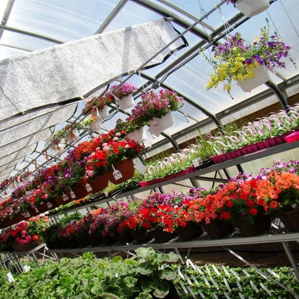 Thermal Screen for Greenhouse photo-6
