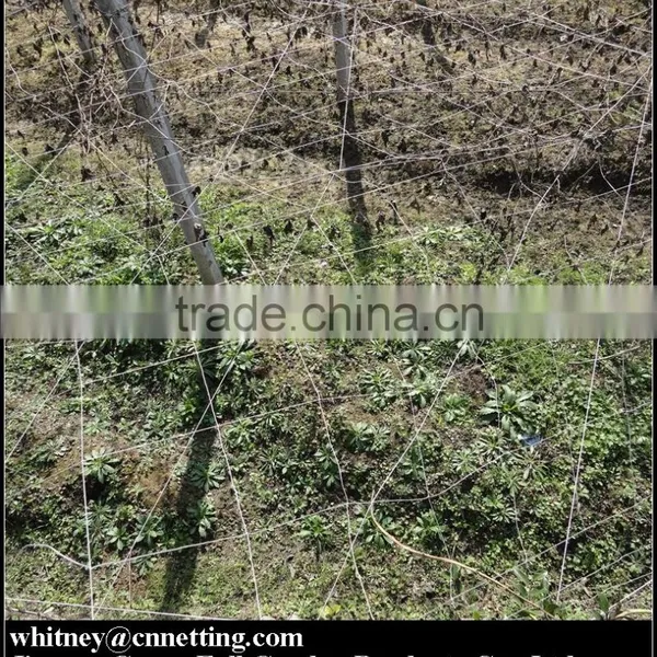 HDPE High Quality Cucumber Yam Support Plant Trellis Net photo-4