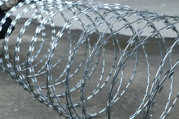 Barbed Wire photo-2