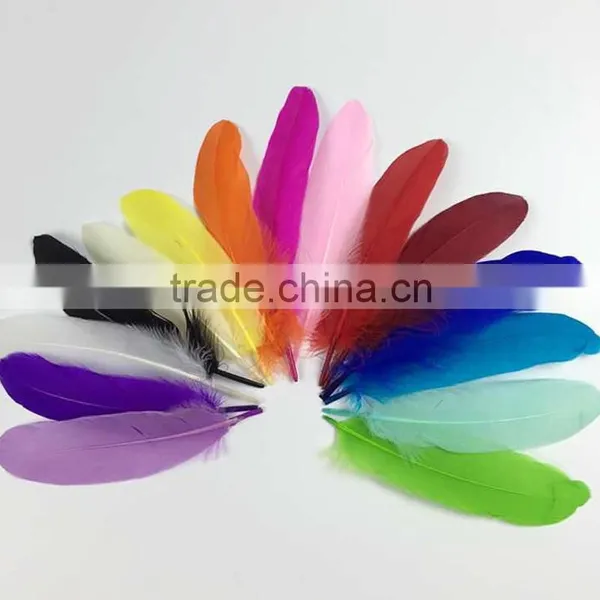 Wholesale China Suppliers Goose Feather Decoration for Sale photo-2