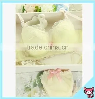 Excellent Quality Sexy Model Push Bra Cup