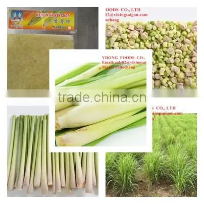 FROZEN LEMONGRASS BEST PRICE FROM VIETNAM photo-2