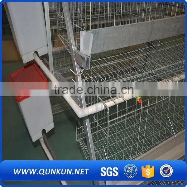 Egg Production Project Poultry Farming Equipment A Type Design Layer Chicken Cage for Sale photo-5
