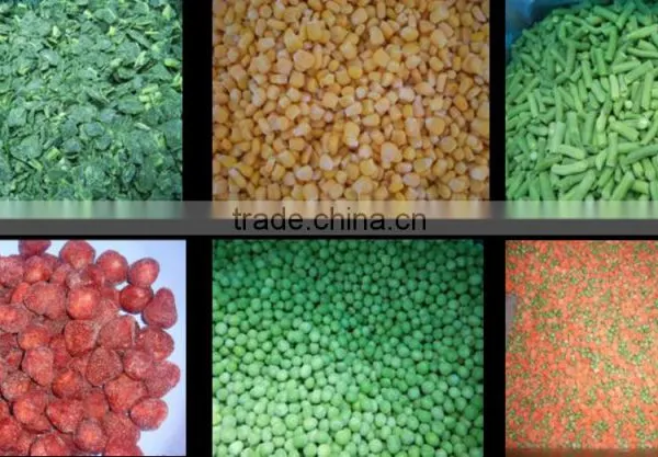 China High Quality IQF FROZEN GREEN PEA photo-5
