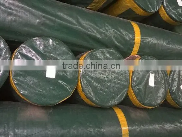Waterproof Pe/pvc/pp Tarpaulin in Roll of Cover Sheet Ground Sheet photo-5