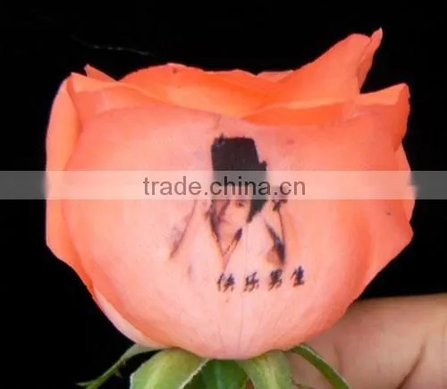 Affordable Digital Flower Printer photo-3