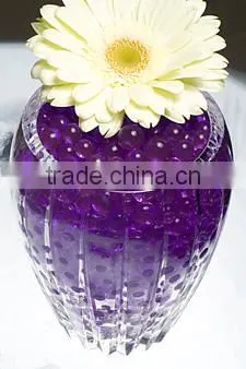 Crystal Mud Soil Water Beads Flower Planting Vase photo-3