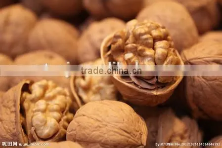 Factory Direct Supply Walnut Oil With Good Price photo-4