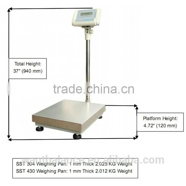 300kg Scale Model photo-3