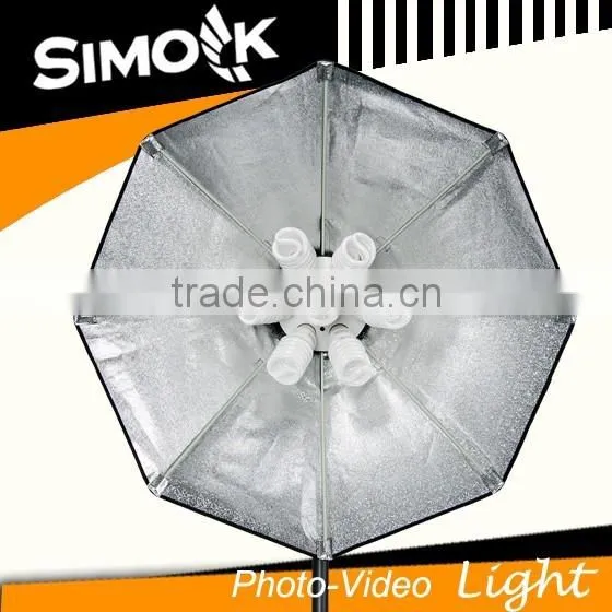 350W Continuous Light Photographic Equipment photo-2
