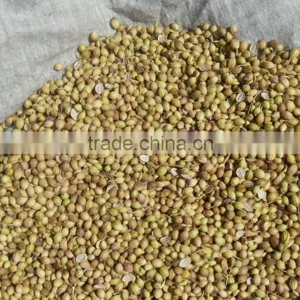 Eagle Coriander Seeds photo-2