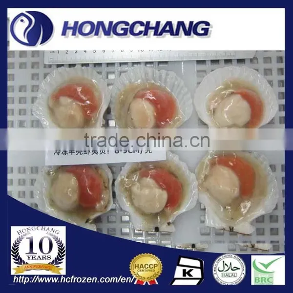 Frozen Half Shell Scallop Roe on
