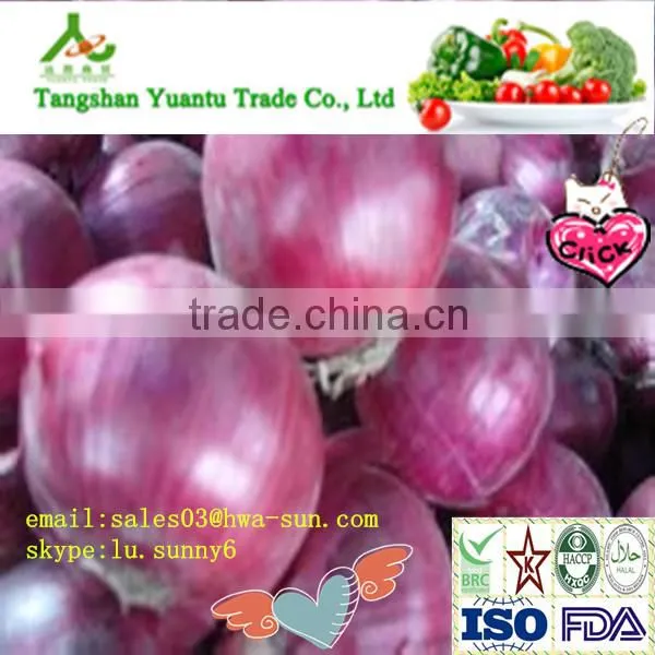 Fresh Yellow/Red Onion Supplier/Producer/Farmer photo-5