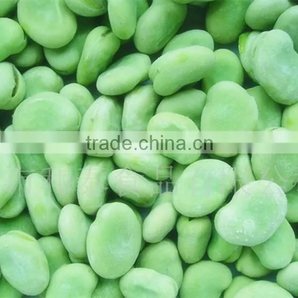 Hot Sale Big Size Broad Beans for Hot Sale With Free Sample for You photo-4