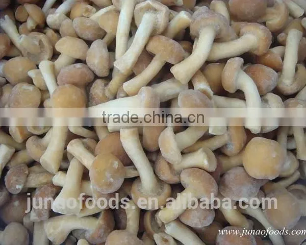 Grade A Chinese Nameko Mushroom Spawn for Sale photo-4