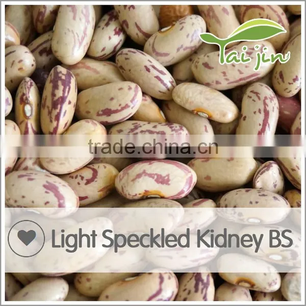 New Arrival Borlotti Bean Market Price photo-3