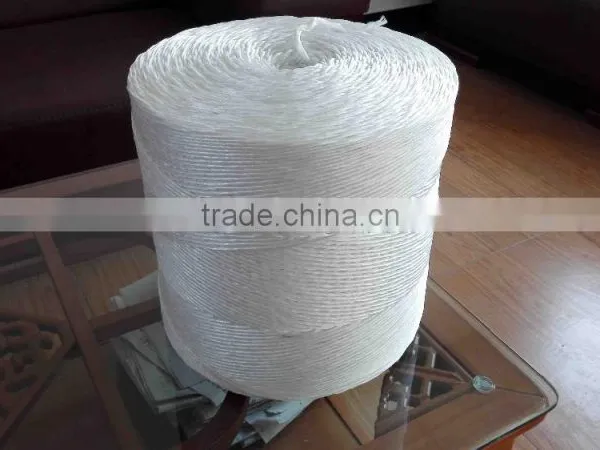 Hot Sale Twisted 1 Ply Hay Baler Twine photo-2