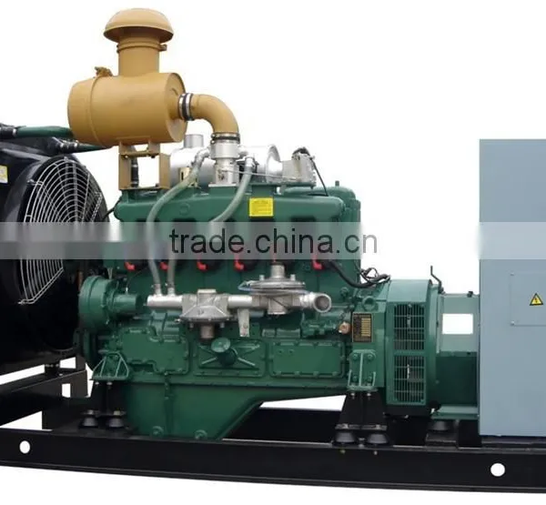 8-1000kw Biogas Electric Generator With ISO 9001 photo-4