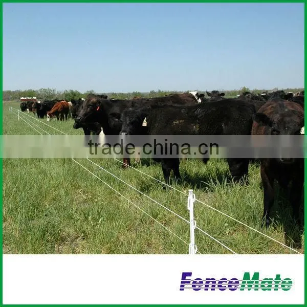 Electric Fence Wire photo-4