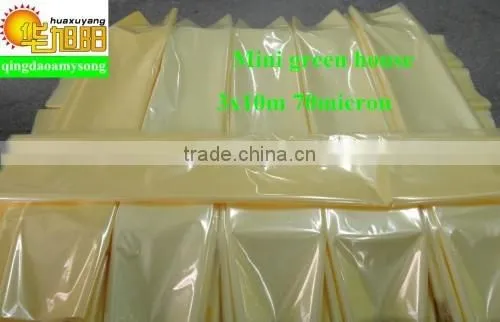 PE Plastic Greenhouse Film With Iron Wire for Vegetable Used in Garden photo-6
