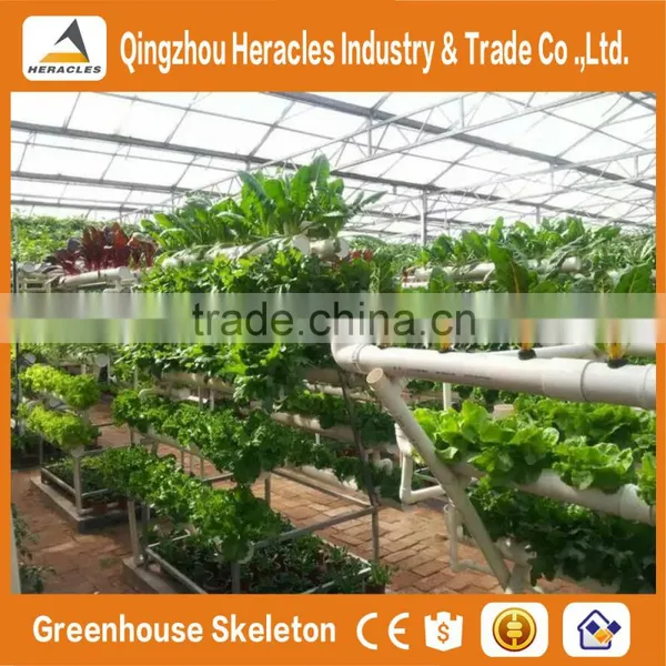 Heracles Commercial Idustrial Hydroponic Systems For PC Greenhouse /Vegetable Greenhouse photo-2