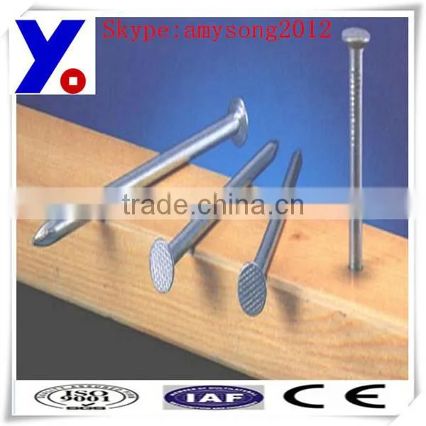 Round Head Nails (FACTORY) photo-2