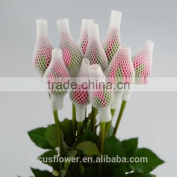 Wedding Decorations Wholesale China Fresh Cut Rose Flowers Rose for Sale photo-4