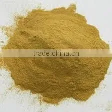 GARCINIA CAMBOGIA EXTRACT photo-2