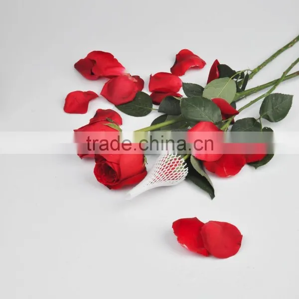 Rose Flower Protective Packing Foam Net photo-5