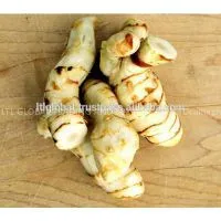 Sell Fresh Galangal