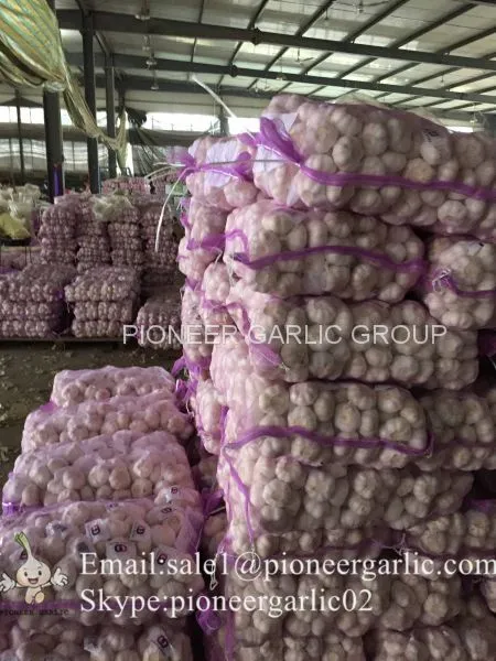 2017 Crop Purple Red Normal White Garlic 5.5cm In Mesh Bag