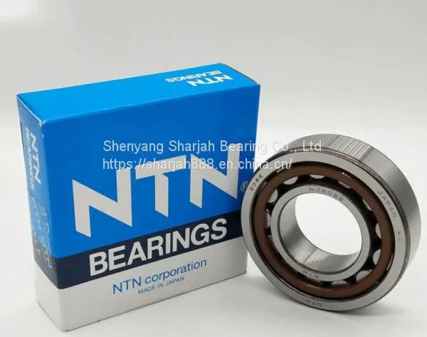 NTN NJ206EC Cylindrical Roller Bearing Single Row 30X62X16mm NJ206