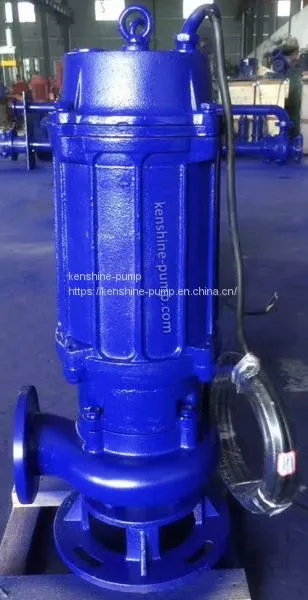 QW,WQ Submerged Sewage Pump photo-3